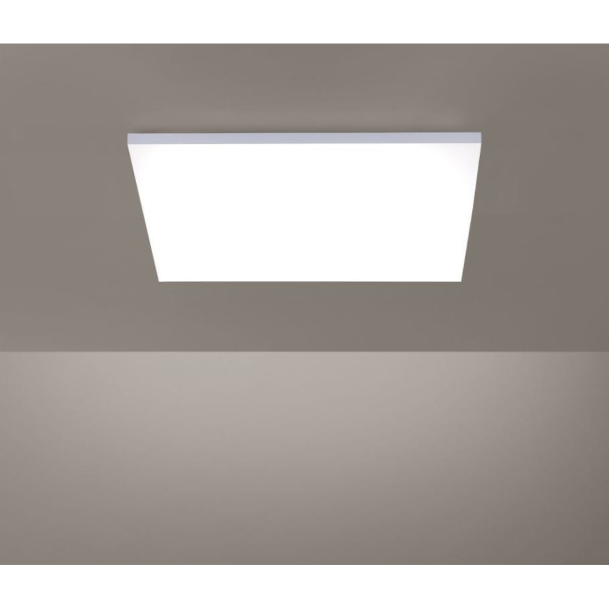 Paul Neuhaus 8492-16 - LED Dimbar Takbelysning RamLESS LED/35W/230V