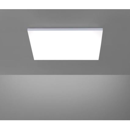 Paul Neuhaus 8492-16 - LED Dimbar Takbelysning RamLESS LED/35W/230V