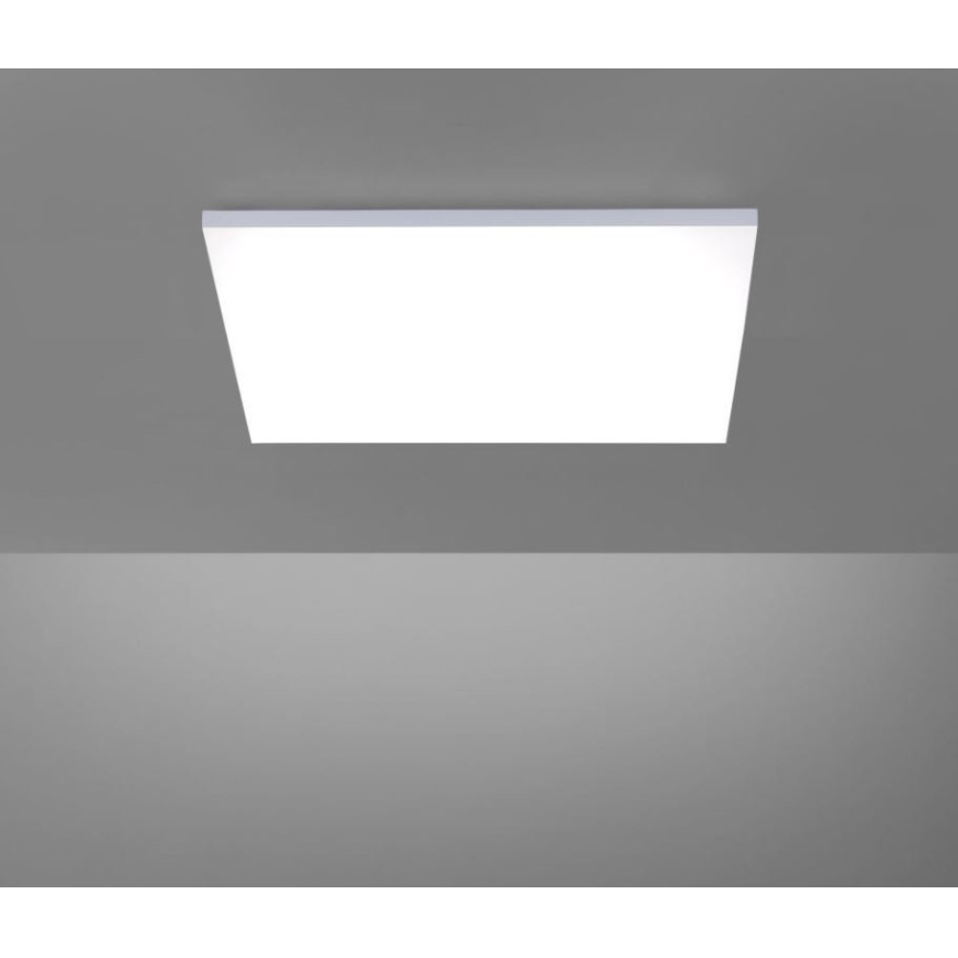Paul Neuhaus 8492-16 - LED Dimbar Takbelysning RamLESS LED/35W/230V