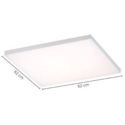 Paul Neuhaus 8492-16 - LED Dimbar Takbelysning RamLESS LED/35W/230V