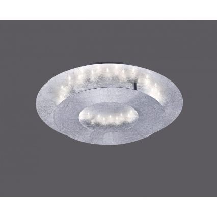 Paul Neuhaus 9011-21 - LED taklampa NEVIS LED/6W/230V silver