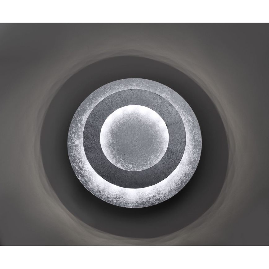 Paul Neuhaus 9011-21 - LED taklampa NEVIS LED/6W/230V silver