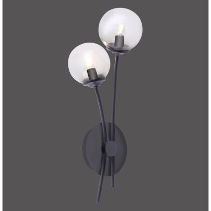 Paul Neuhaus 9014-18 - LED vägglampa  WIpåW 2xG9/3W/230V
