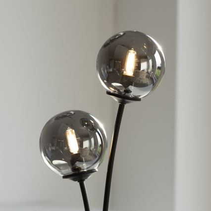 Paul Neuhaus 9014-18 - LED vägglampa  WIpåW 2xG9/3W/230V