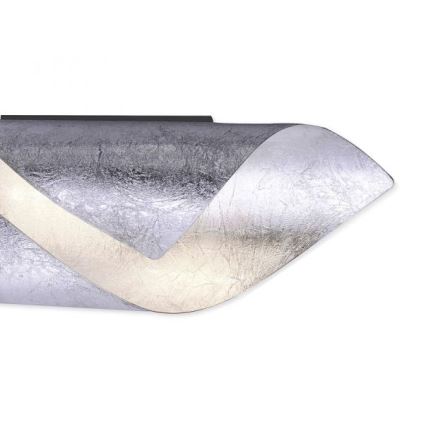 Paul Neuhaus 9030-21 - LED vägglampa  NEVIS LED/6W/230V silver