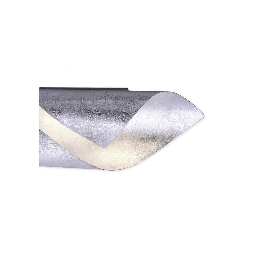Paul Neuhaus 9030-21 - LED vägglampa  NEVIS LED/6W/230V silver