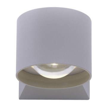 Paul Neuhaus 9441-21 - Utomhus LED vägglampa  TIMO 2xLED/2W/230V IP54