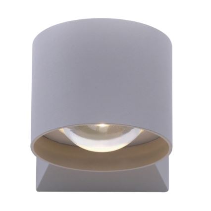 Paul Neuhaus 9441-21 - Utomhus LED vägglampa  TIMO 2xLED/2W/230V IP54