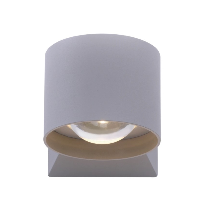 Paul Neuhaus 9441-21 - Utomhus LED vägglampa  TIMO 2xLED/2W/230V IP54