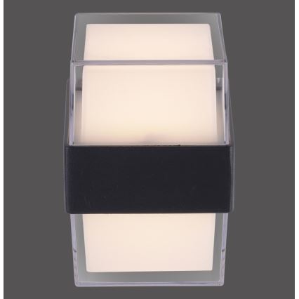 Paul Neuhaus 9480-13 - Utomhus LED vägglampa  CARA LED/8W/230V IP44