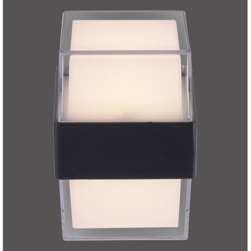 Paul Neuhaus 9480-13 - Utomhus LED vägglampa  CARA LED/8W/230V IP44