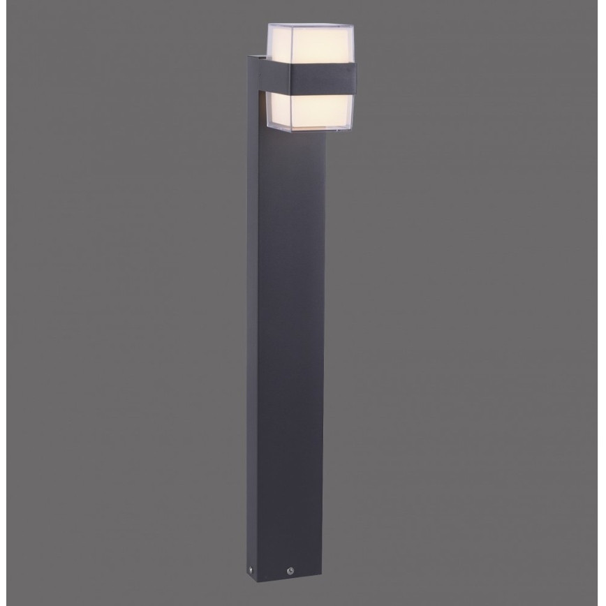 Paul Neuhaus 9481-13 - Utomhus LED lampa  CARA LED/8W/230V IP44