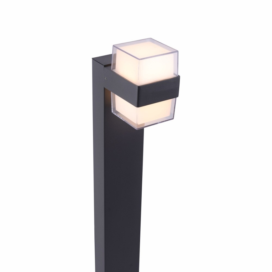 Paul Neuhaus 9481-13 - Utomhus LED lampa  CARA LED/8W/230V IP44