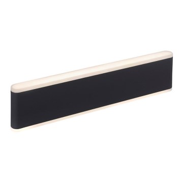 Paul Neuhaus 9484-13 - LED ljusreglerad utomhus vägglampa  ELSA 2xLED/9W/230V IP65