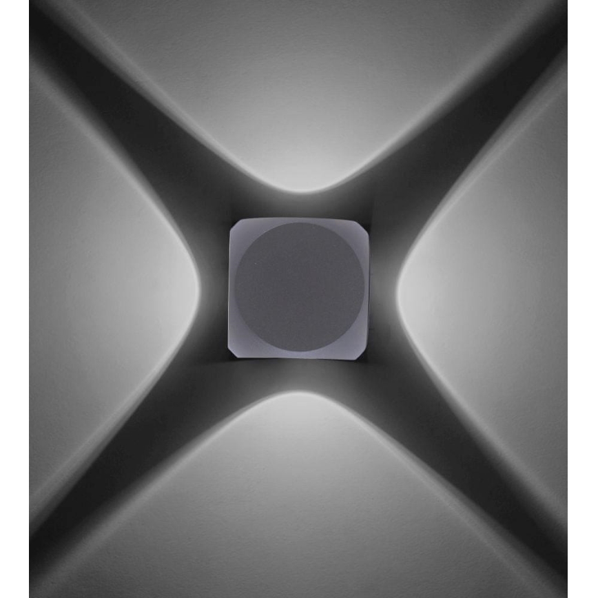 Paul Neuhaus 9485-21 - Utomhus LED vägglampa  CARLO 4xLED/0,8W/230V IP54