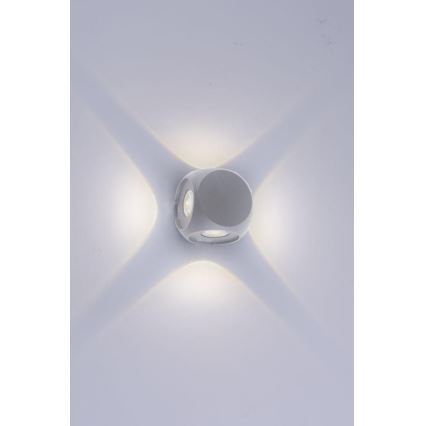 Paul Neuhaus 9485-21 - Utomhus LED vägglampa  CARLO 4xLED/0,8W/230V IP54