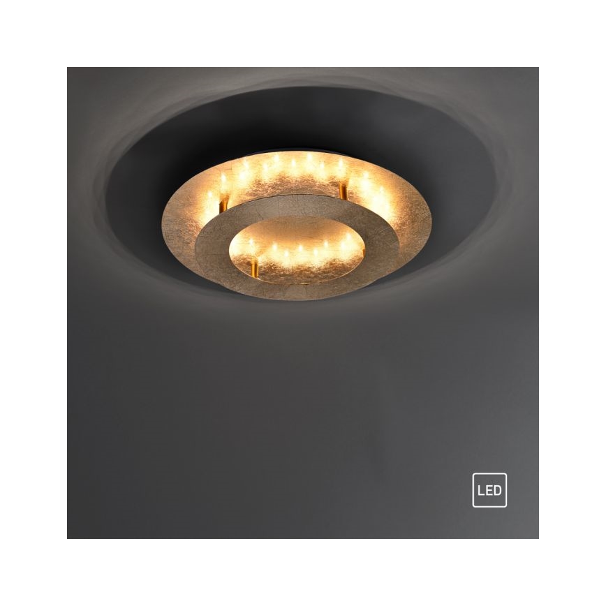 Paul Neuhaus 9620-12 - LED taklampa NEVIS LED/18W/230V gyllene 