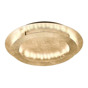 Paul Neuhaus 9621-12 - LED taklampa NEVIS LED/24W/230V