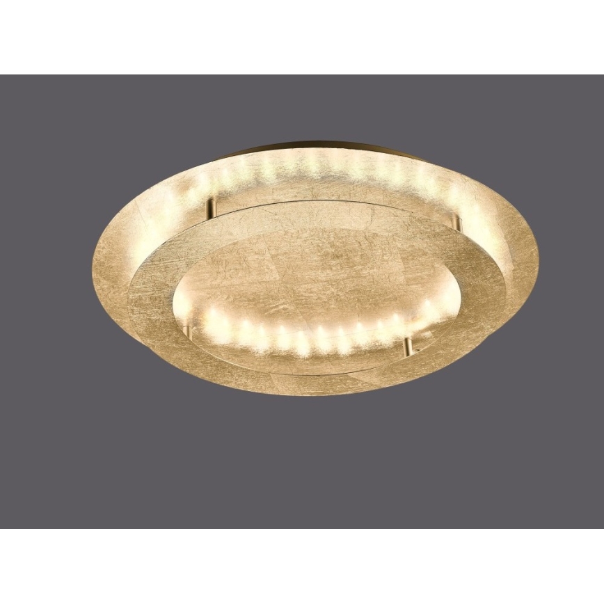 Paul Neuhaus 9621-12 - LED taklampa NEVIS LED/24W/230V