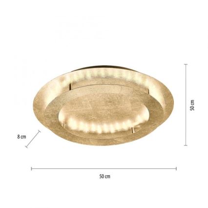 Paul Neuhaus 9621-12 - LED taklampa NEVIS LED/24W/230V