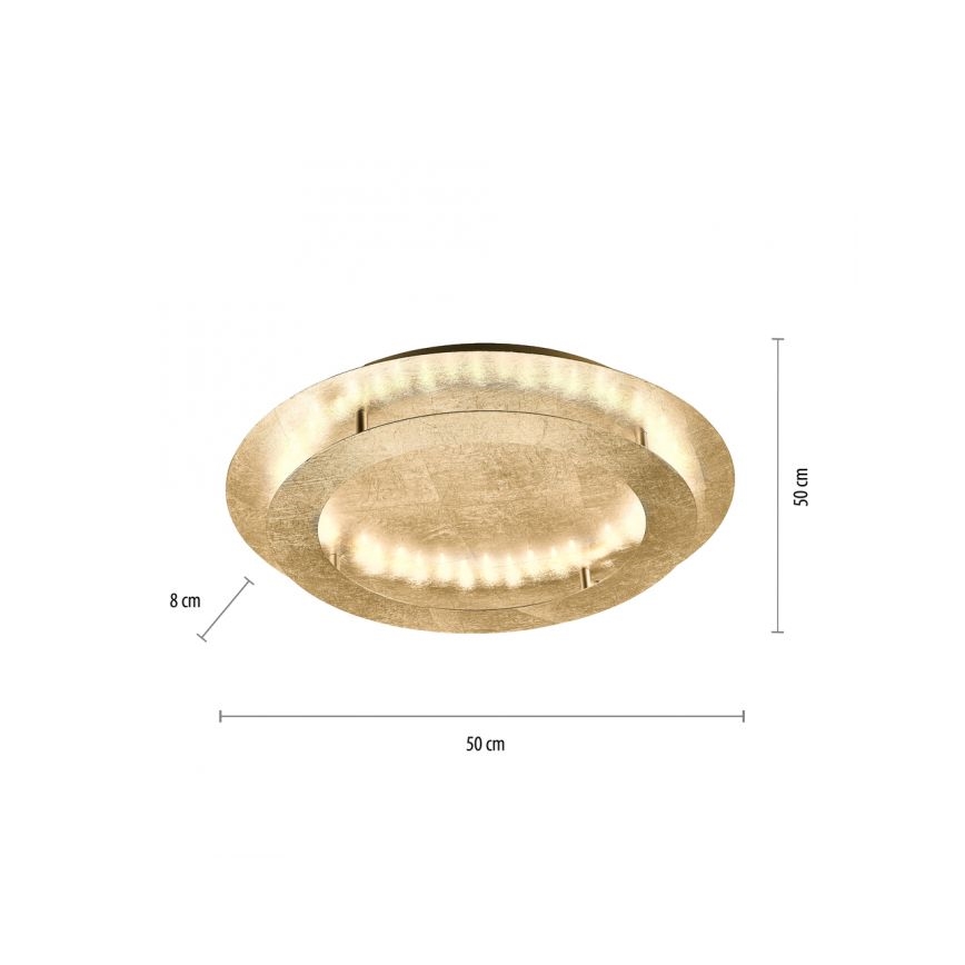 Paul Neuhaus 9621-12 - LED taklampa NEVIS LED/24W/230V