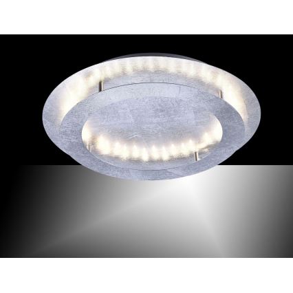 Paul Neuhaus 9621-21 - LED taklampa NEVIS LED/24W/230V