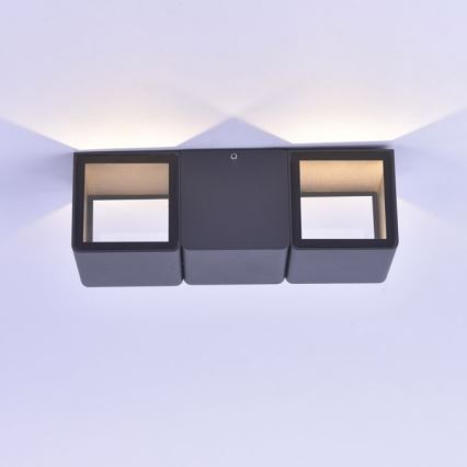 Paul Neuhaus 9658-13 - Utomhus LED vägglampa  MARCEL 2xLED/4W/230V IP54