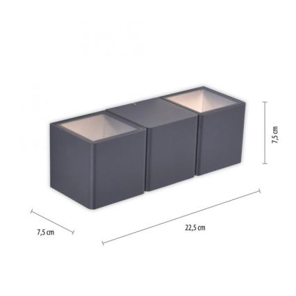 Paul Neuhaus 9658-13 - Utomhus LED vägglampa  MARCEL 2xLED/4W/230V IP54