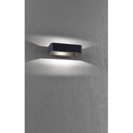 Paul Neuhaus 9668-13 - Utomhus LED vägglampa  HENDRIK LED/5,2W/230V IP54