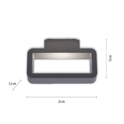 Paul Neuhaus 9668-13 - Utomhus LED vägglampa  HENDRIK LED/5,2W/230V IP54