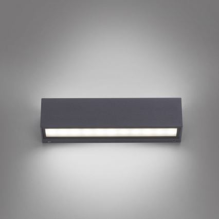 Paul Neuhaus 9675-13 - Utomhus LED vägglampa  ROBERT 2xLED/9W/230V IP65