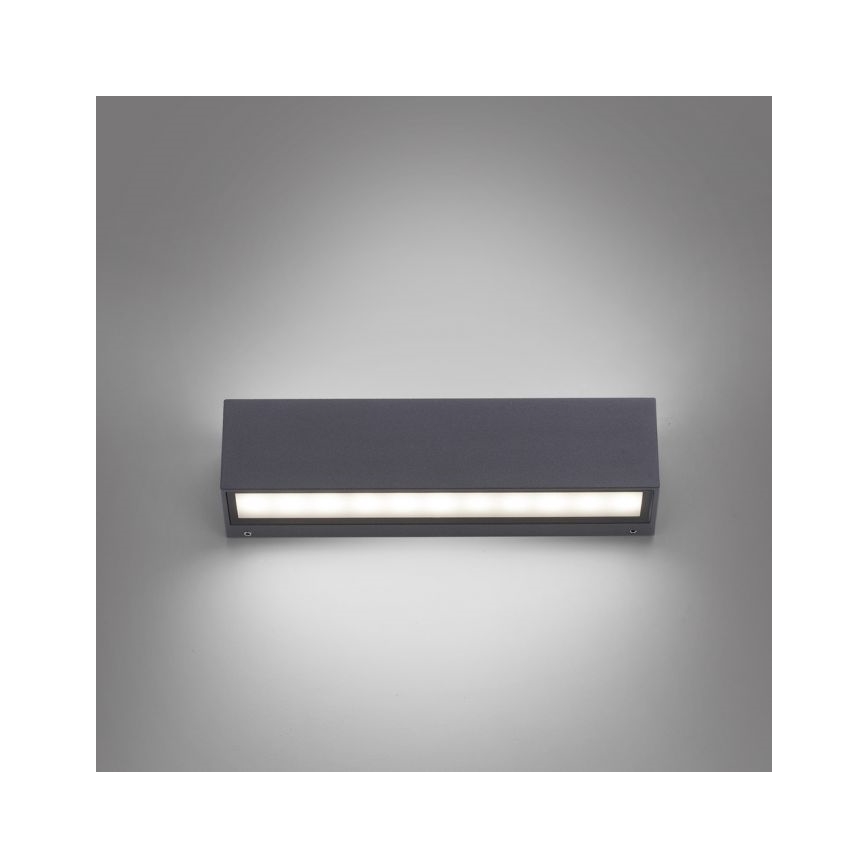 Paul Neuhaus 9675-13 - Utomhus LED vägglampa  ROBERT 2xLED/9W/230V IP65