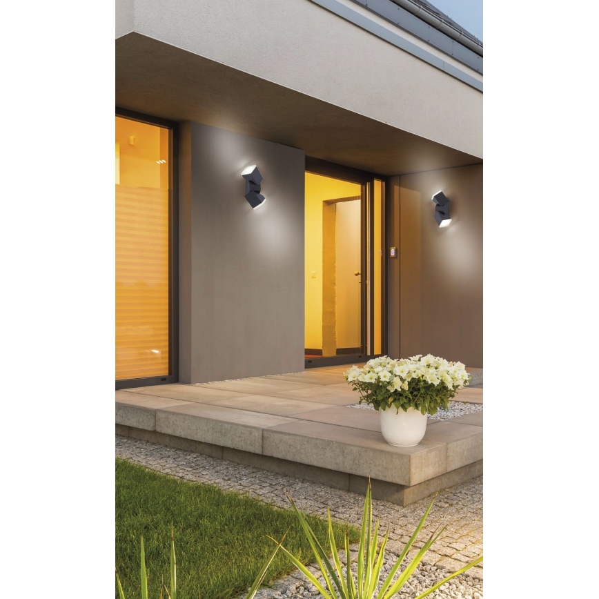 Paul Neuhaus 9722-13 - Utomhus LED vägglampa  RYAN 2xLED/5W/230V IP54