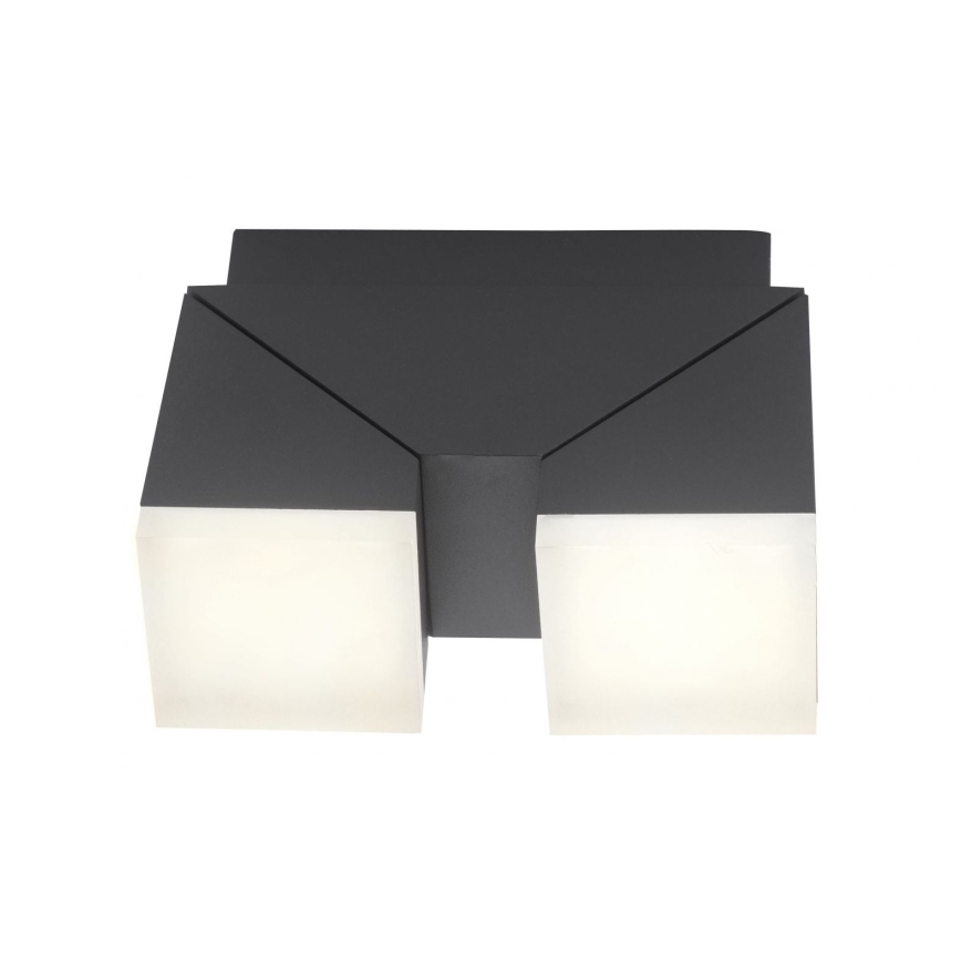 Paul Neuhaus 9722-13 - Utomhus LED vägglampa  RYAN 2xLED/5W/230V IP54