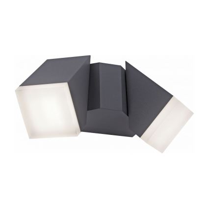 Paul Neuhaus 9722-13 - Utomhus LED vägglampa  RYAN 2xLED/5W/230V IP54