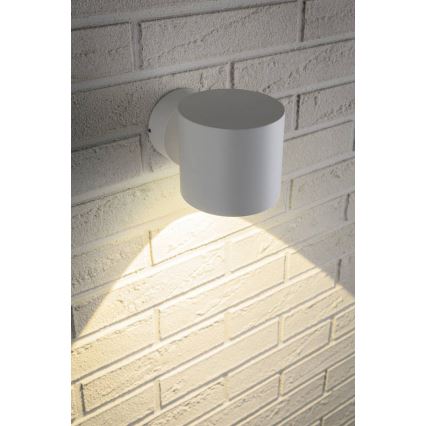 Paulmann 18007 - LED/5W IP44 Utomhus Väggbelysning  FLAME 230V