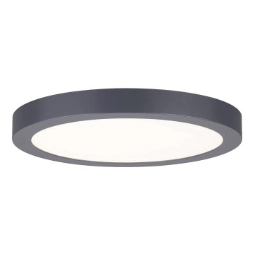 Paulmann 70988 - LED/22W Taklampa ABIA 230V antracit