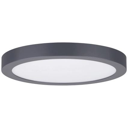 Paulmann 70988 - LED/22W Taklampa ABIA 230V antracit