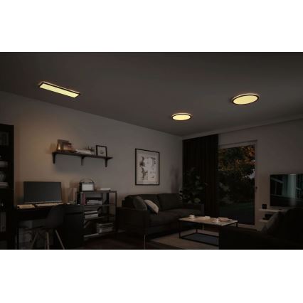 Paulmann 70999 - LED/22W Ljusreglerad panel ATRIA 230V 3000K diameter 42 cm svart
