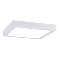 Paulmann 71022 - LED/22W Taklampa ABIA 230V vit