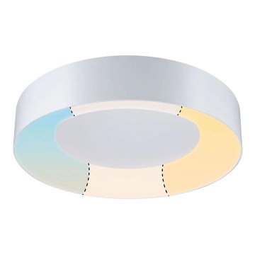 Paulmann 78947 - LED/23W IP44 Badrum takbelysning CASCA 230V