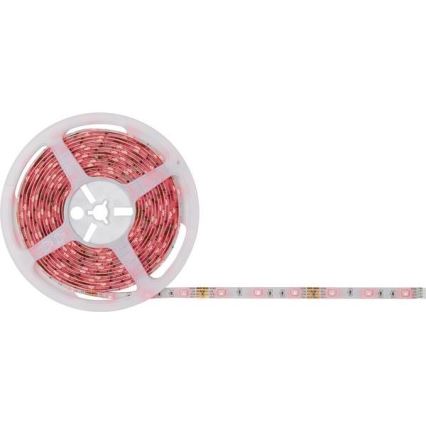 Paulmann 78978 - LED RGB/20W Dimbar ljusslinga SIMPLED 5m 230V + Fjärrstyrd