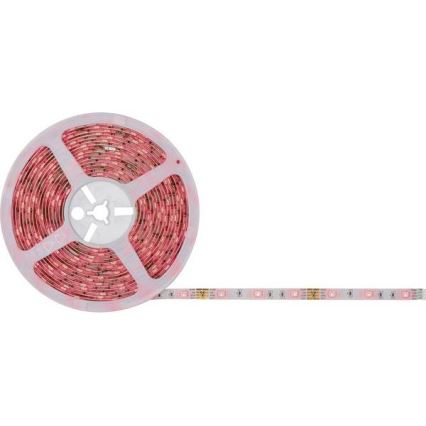 Paulmann 78979 - LED RGB/26W Dimbar ljusslinga SIMPLED 7,5m 230V + Fjärrstyrd