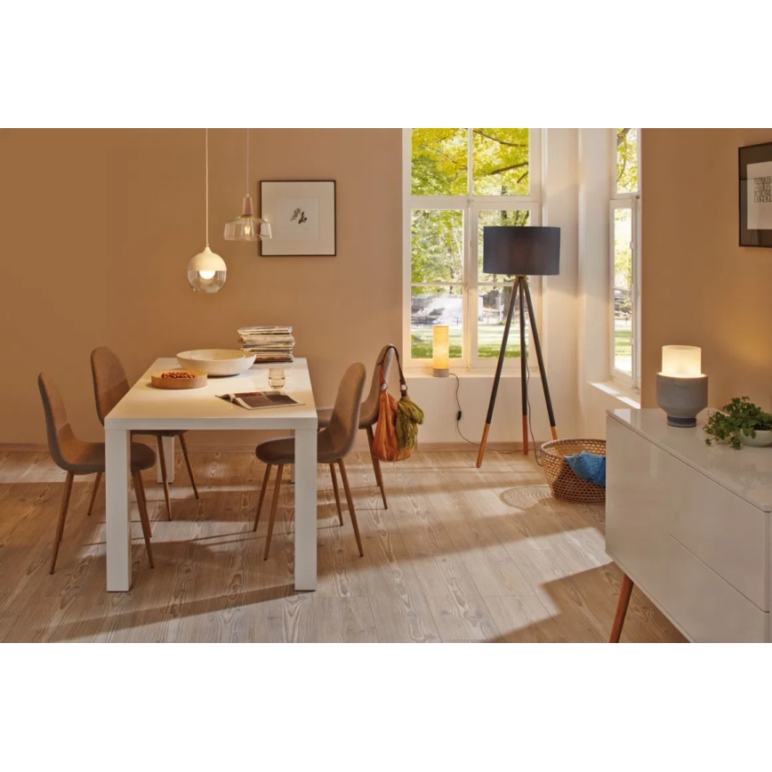 Paulmann 79633 - 1xE27/20W Golvlampa RURIK 230V