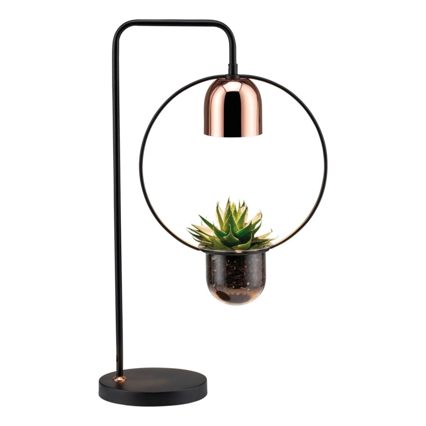 Paulmann 79746 - 1xGU10/20W Bordslampa FANJA 230V rökfärgad