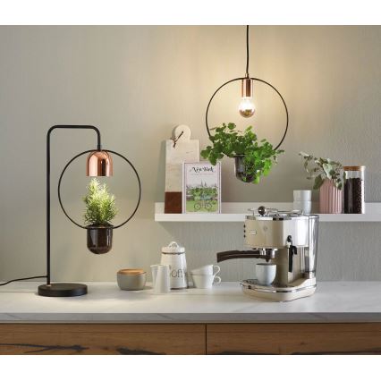 Paulmann 79746 - 1xGU10/20W Bordslampa FANJA 230V rökfärgad