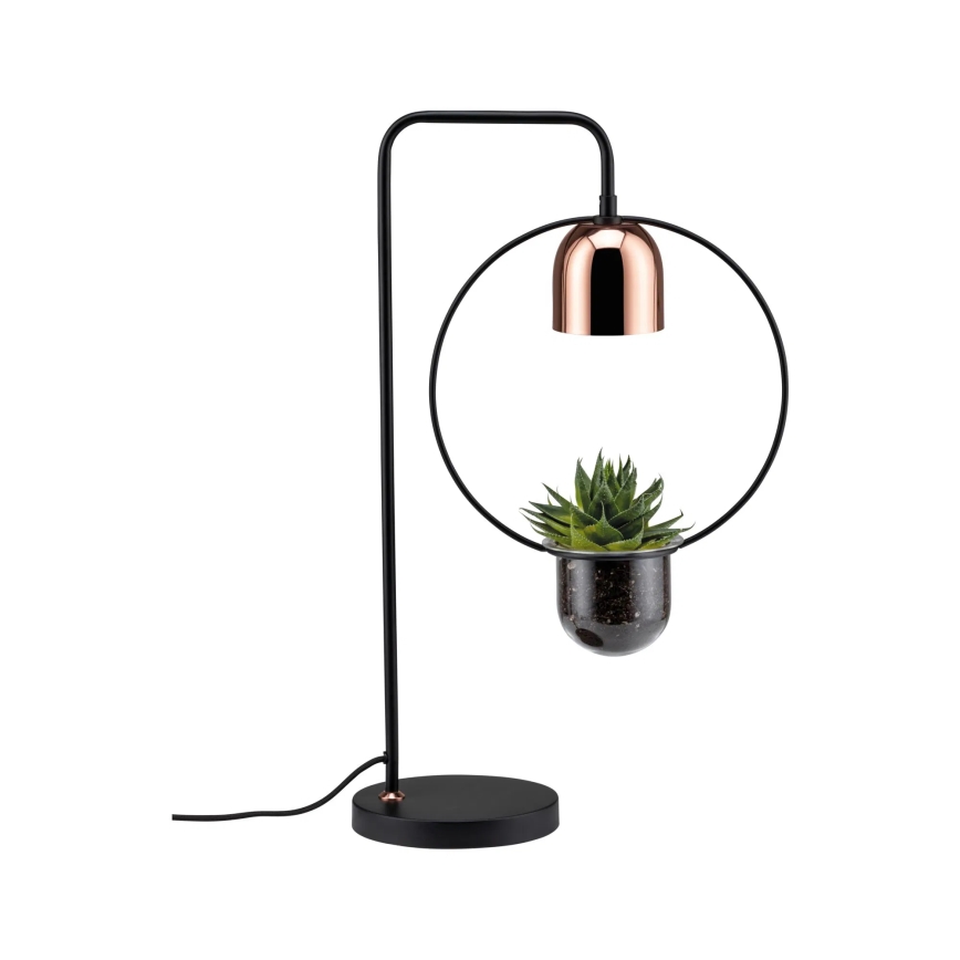 Paulmann 79746 - 1xGU10/20W Bordslampa FANJA 230V rökfärgad