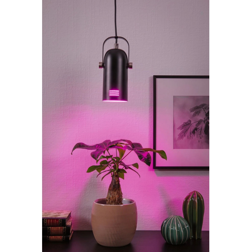 Paulmann 79766 - 1xE27/15W Takpendel med kabel LAVEA 230V svart