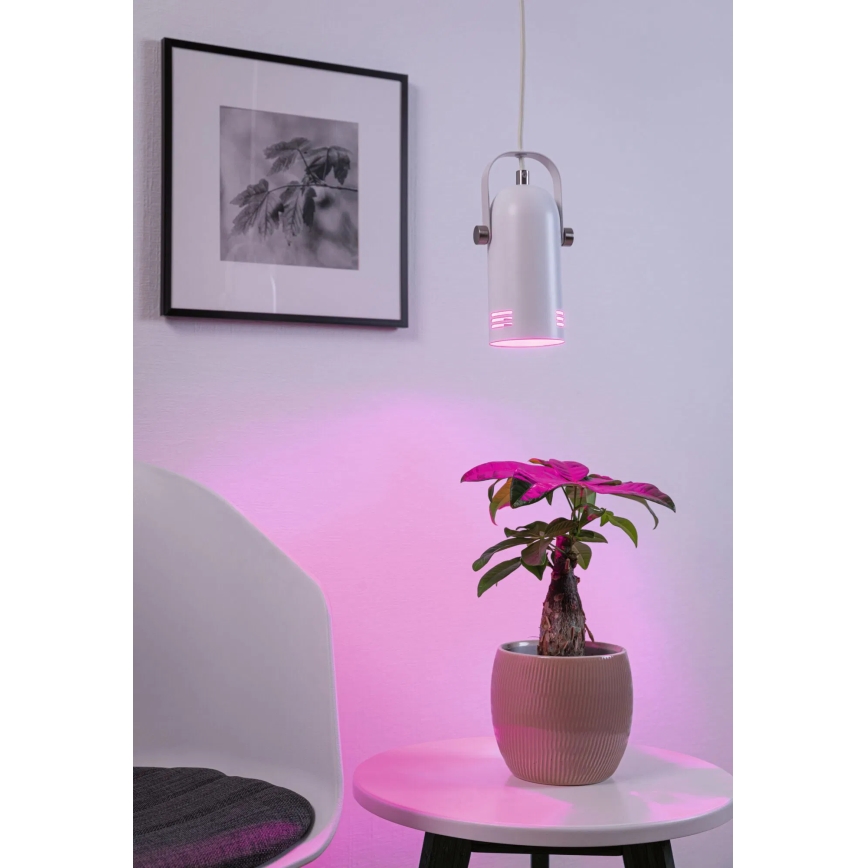 Paulmann 79767 - LED RGBW 1xE27/15W LAVEA pendel med vajer 230V vit