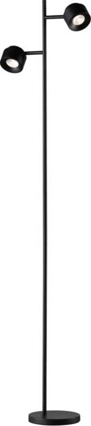 Paulmann 79775 - 2xLED/3W Ljusreglerad golvlampa PURIK PANE 230V